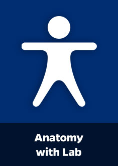 Anatomy with Lab (NR.110.204)