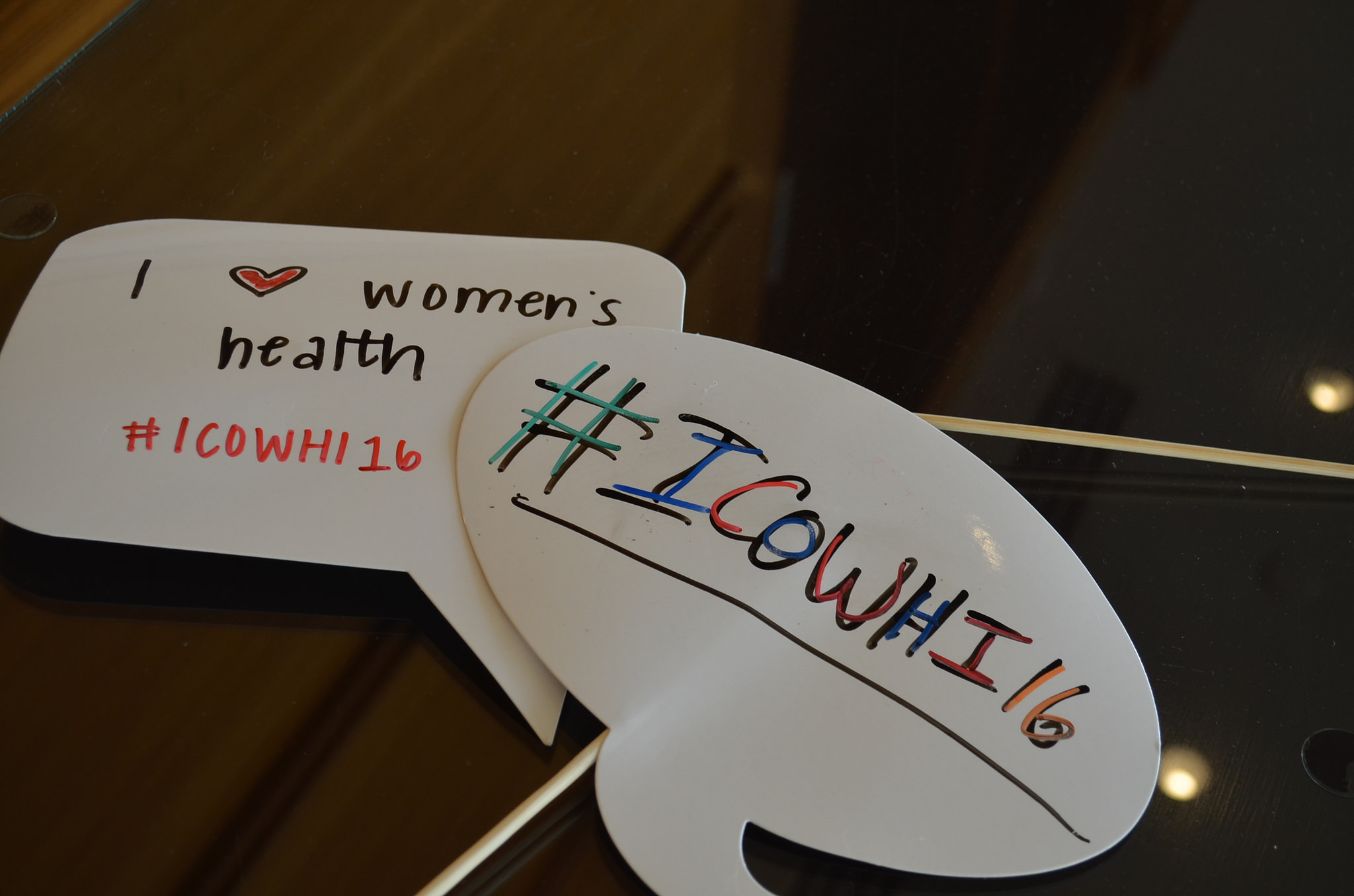 Action and Innovation at ICOWHI’s 21st Congress