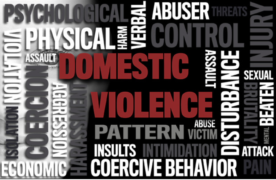 Domestic violence danger assessment word cloud