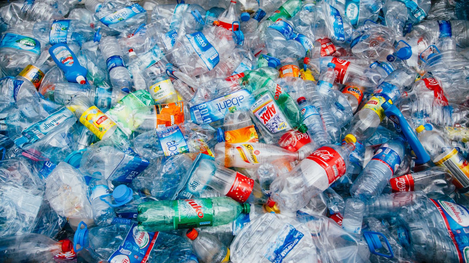 Earth Day: An Opportunity to Address the Environmental Injustice of Plastic Pollution