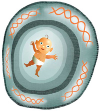 A Gentler Fetal Test for Birth Defects?