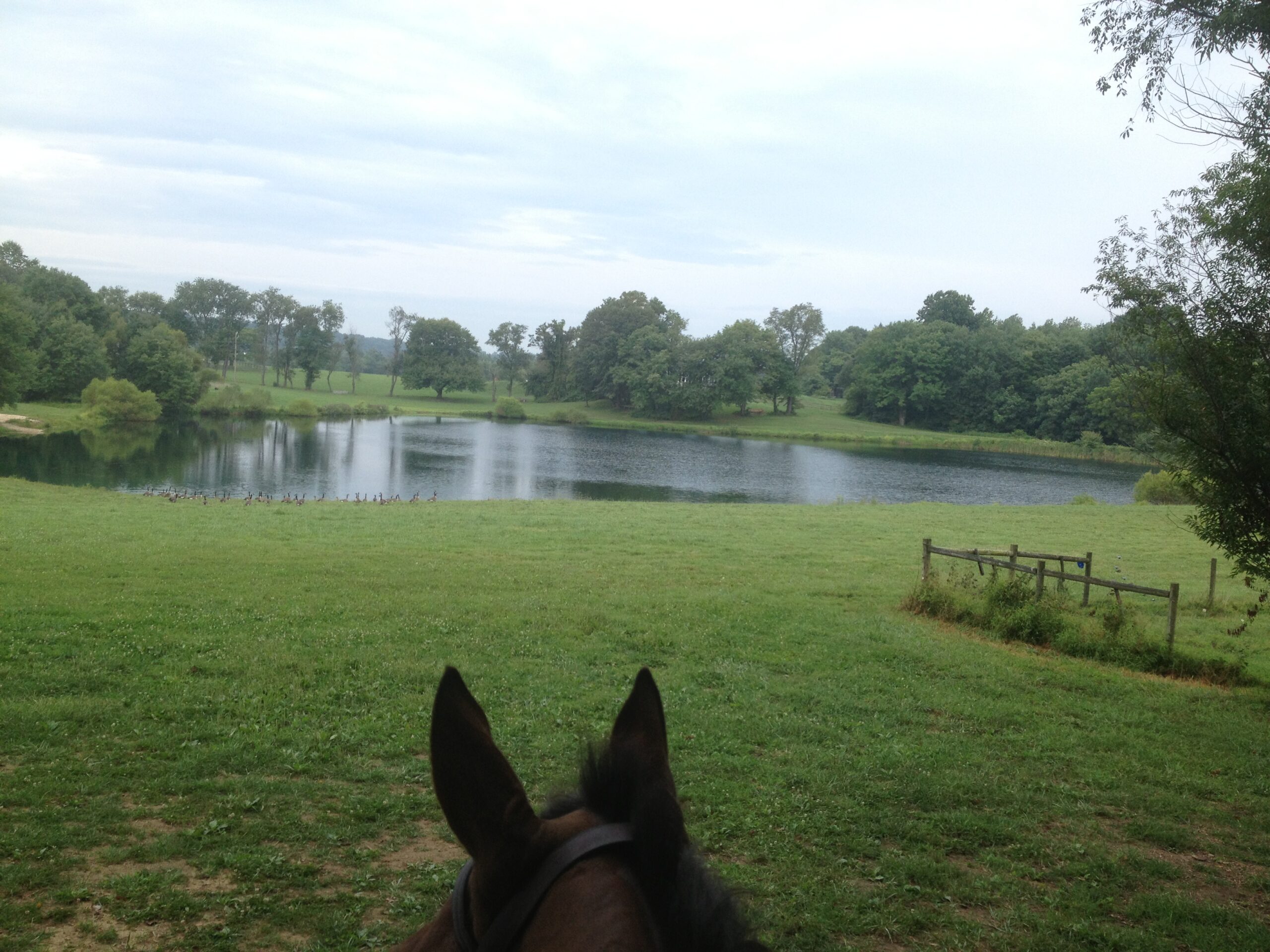 A little ride around the property with Jessie