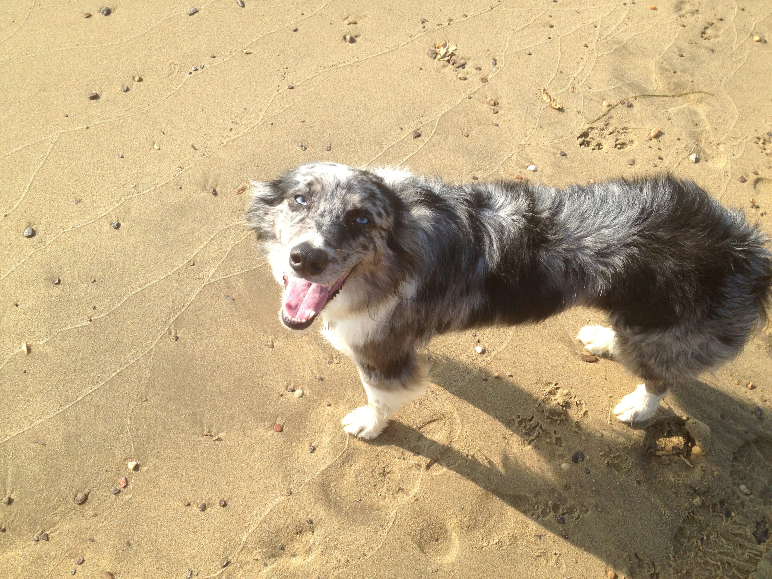 Stella loving her day at the beach! :)