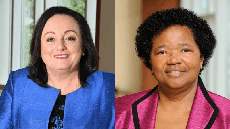 Dean Patricia Davidson and Dr. Phyllis Sharps Receive the American Academy of Nursing’s Highest Honors