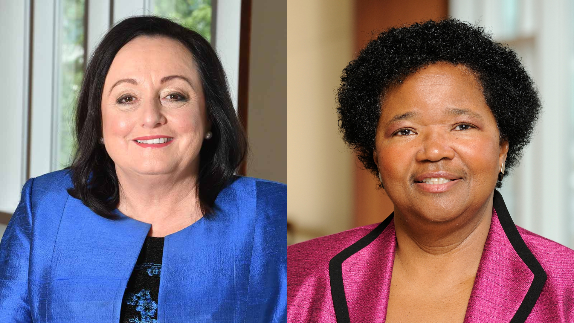 Dean Patricia Davidson and Dr. Phyllis Sharps Receive the American Academy of Nursing’s Highest Honors