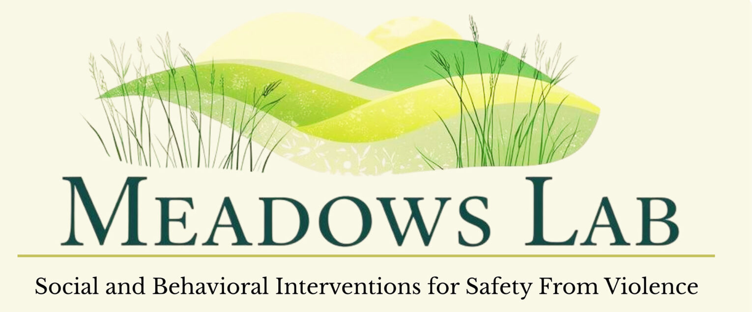 MEADOWS Lab. Social and behavioral interventions for safety from violence. 