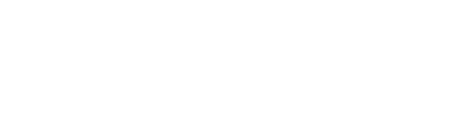 The Institute for Policy Solutions